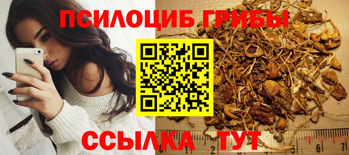Звенигород  Галлюциногенные грибы Psilocybe  Вход с VPN 